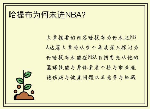 哈提布为何未进NBA？